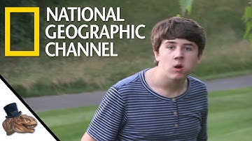 Neanderthals - National Geographic Documentary