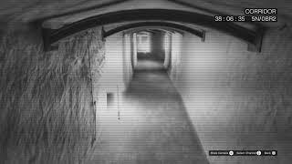 The Corridor Security Camera 20231016145942