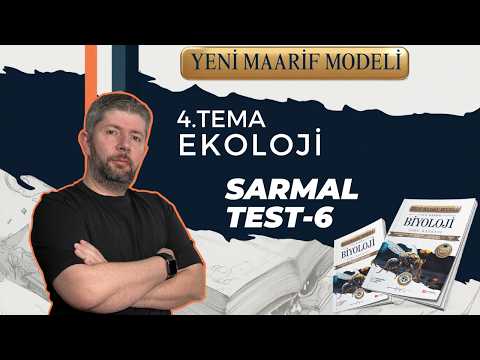 THEME 4 ENERGY SPIRAL TEST-6