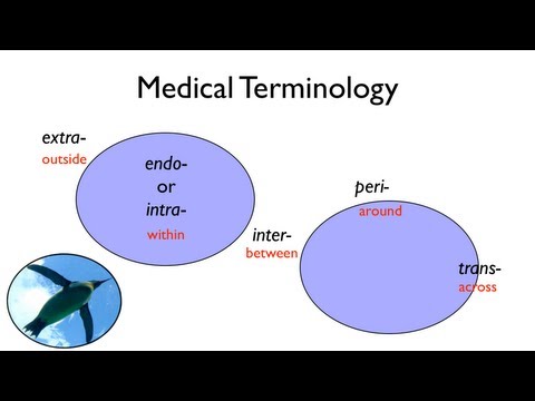 Video: Čo je perimetritída z lekárskeho hľadiska?