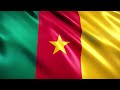 Cameroon Flag Waving | Cameroonian Flag Waving | Cameroon Flag Screen