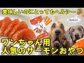 美味しいのにとってもヘルシー！ワンちゃん用プレミアムサーモンおやつ「デリシオ」幼犬から齢犬まで全犬種対応ドッグフード餌　ご褒美やしつけにも効果的