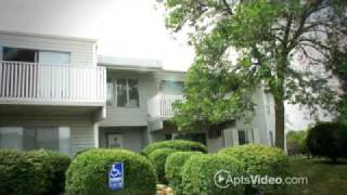 Beech Pointe Apartments in Schaumburg, IL-ForRent.com