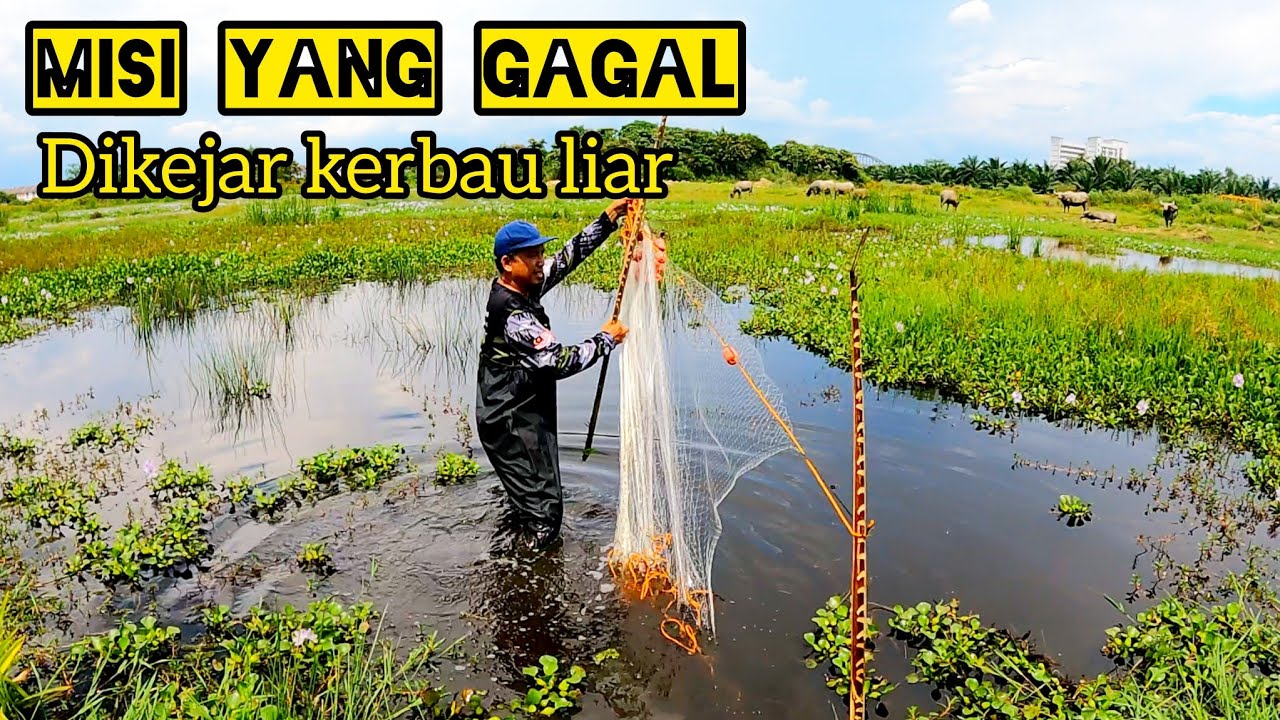 Niat Nak Cari Ikan Di Lombong Kering Banting #gengdunia
