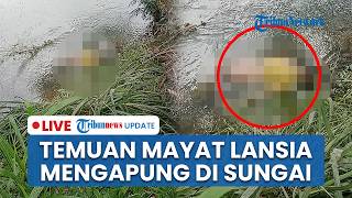 🔴 LIVE: Geger Temuan Mayat Lansia Mengapung di Sungai Banda Bakali Padang, Korban Warga Banuaran