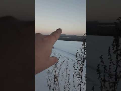 вечер добрый! прогулки