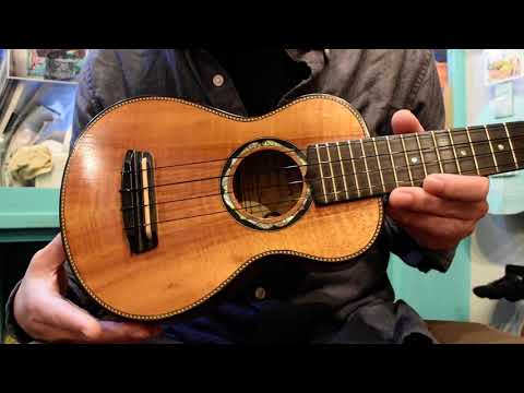 NEW/G String ABFS2001-P Soprano Signature Series【2001年
