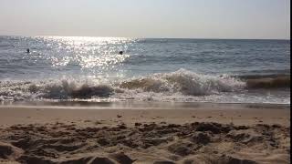 IMG_7345.MOV