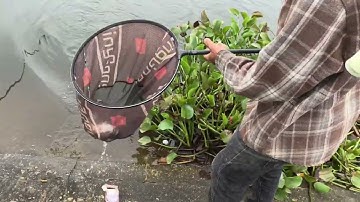 tuấn câu cá fishing 🎣săn rô ở hồ c 5,va toàn hàng 