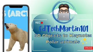 USDZ file to Keynote: Polar animals