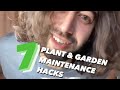 7 plant maintenance hacks and tips  creative explained