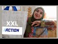 Action haul mai 2024  deco haushalt  hijabflowers