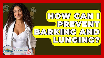 How Can I Prevent Barking And Lunging? - Ask A Pet Vet
