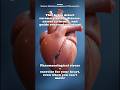 MIBI SCAN || pharmacological stress || cardiac scan #nuclearmedicine #facts #biology #petimaging