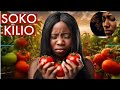 SOKO LA NYANYA LAPOROMOKA VIBAYA MNO MOROGORO CHUKUA HATUA HIZI MAPEMA As TOMATO MARKET CRASHES