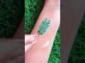 New Stylish Leaf Mehndi design 🌿 #shorts #leafhenna #creativehenna #artofhenna #dailymehndi #mehndi