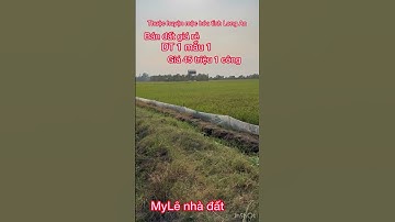 Bán đất rẻ bèo với DT 1 mẫu 1 thuộc huyện mộc hóa tỉnh Long An
