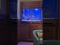 Luxury Coral Aquariums That Transform Your Space — JKfish world brings the ocean to your home!