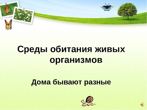 Биология 5 класс Параграф 17 Среды обитания в природе или живых организмов