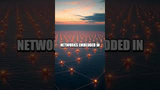 Rare Earth Free Quantum Sensors Transform Ocean Monitoring