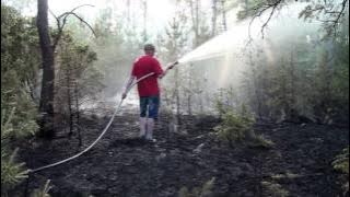 2016-06-12 Skogsbrand Jörlanda