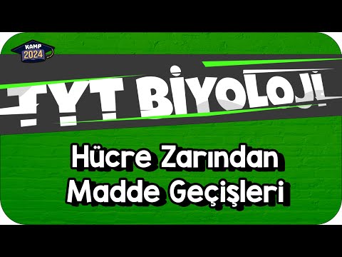 Hücre Zarından Madde Geçişleri | TYT Biyoloji #KAMP2024