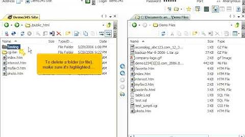 Managing files in SmartFTP