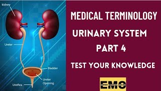 Medical coding for beginners| Urinary system questions and answers part 4| Practice| #medicalcoding