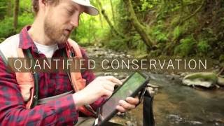 Quantified Conservation