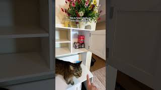 Okay, so I never thought I’d be THIS excited about a cat litter box, but here we are