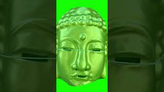 New songs "Sparrow Sparrow" & "Overrated Species Anyhow" out now everywhere! #deerhoof #lgbtqyouth