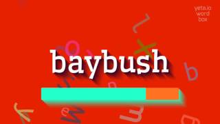 How to say "baybush"! (High Quality Voices)
