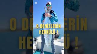 Denizlerin Herkülü LİÇA | Kendi Rekorum Dev Liça Balığı Yakaladım #balikavi #fishing #deniz