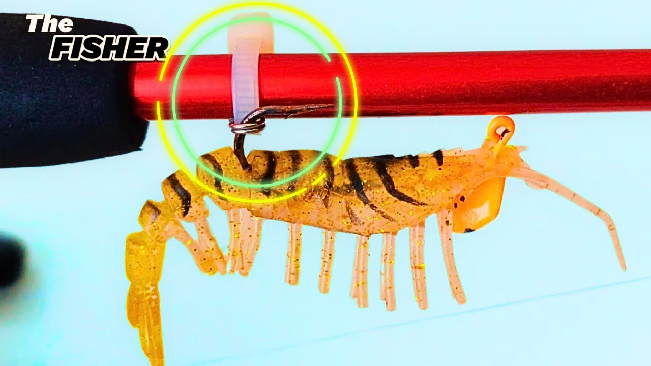 Fishing Tips and Tricks for Angling | Improve Your Fishing Skills