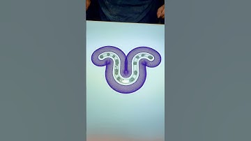 A Mesmerizing Spirograph You Can’t Look Away From #spirographshr #satisfying #usa #art #asmr