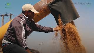 برومو مراحل تنفيذ مشاريع دعم سلسلة القيمة للقمح