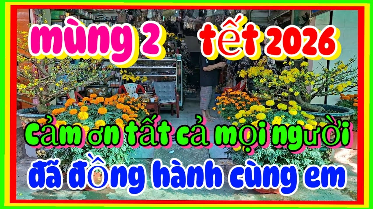 Mùng 2 tết 2026 Cảm ơn mọi người đã đồng hành cùng em những thời gian qua