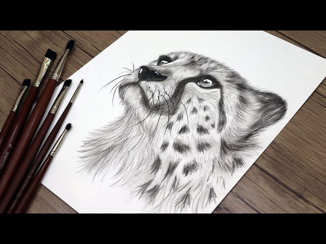 Premium Photo | Realistic Drawing of a White Cheetah Full Body