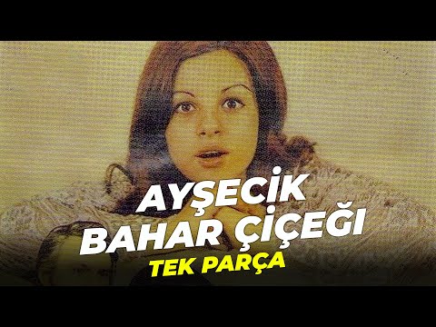 Ayşecik Bahar Çiçeği | Tek Parça