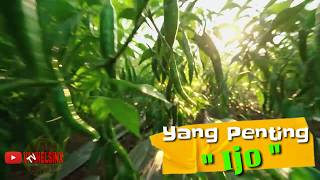 Mie Goreng Cabe Ijo Salah Server
