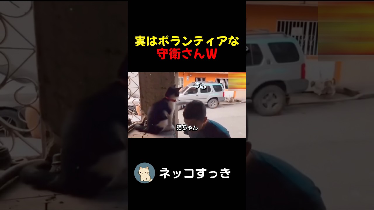 可愛い過ぎる守衛さんw#猫好きさんとつながりたい