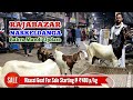 Rajabazar Narkeldanga Bakra Mandi | Khassi For Sale @ ₹480 p/kg | Qurbani Special #goatforsale #goat