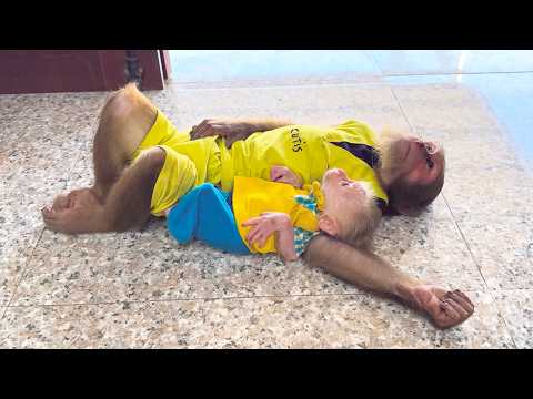 So Emotional! Baby Monkey’s Sweet Moment with CUTIS