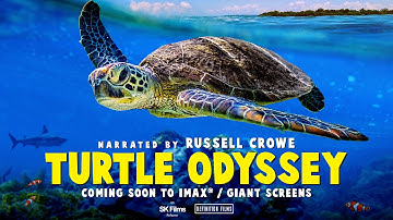 TURTLE ODYSSEY - OFFICIAL TRAILER - COMING SOON