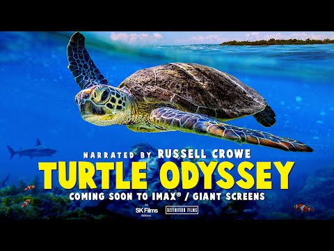 TURTLE ODYSSEY - OFFICIAL TRAILER - COMING SOON