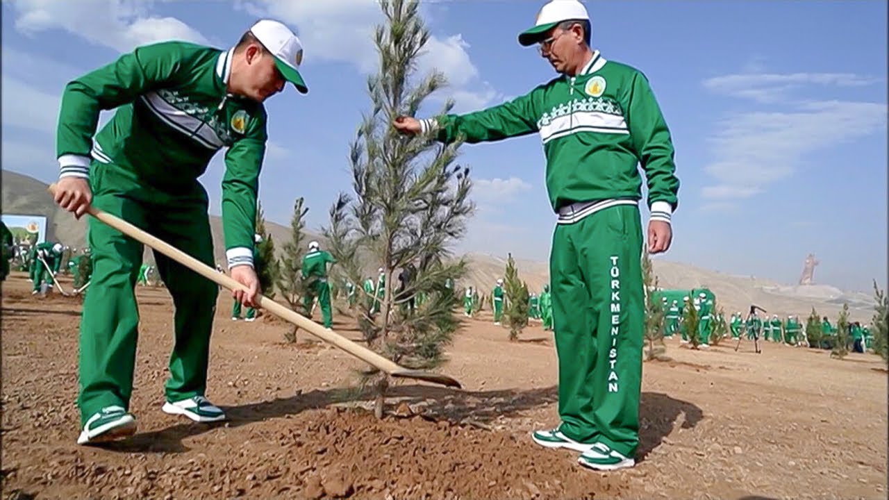 В Туркменистане сажают 3 миллиона деревьев в рамках весеннего озеленения