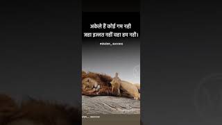 Fadu Hollywood Movies In Hindi Dubbed