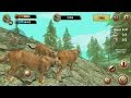 Wild Cougar Sim 3D Android Gameplay #2 #DroidCheatGaming