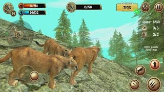 Wild Cougar Sim 3D Android Gameplay #2 screenshot 1