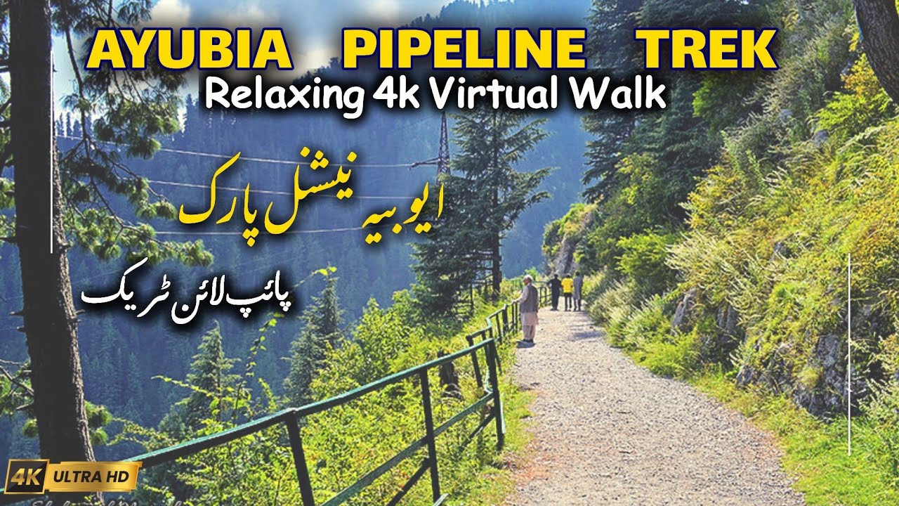 pipeline-track-nathia-gali-moto-tunnel-ayubia-ayubia-national-park